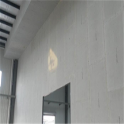 黄平宁波ALC板|EPS加气板隔墙与混凝土整浇联接的实验研讨